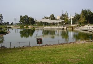 פארק הרצליה: ריאה ירוקה בלב העיר